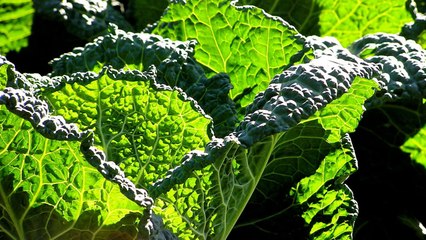 Quran in English - Chapter 76 - ClearQuran