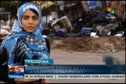 Ganaderos de Gaza, seriamente afectados por bloqueo y asedio israelíes