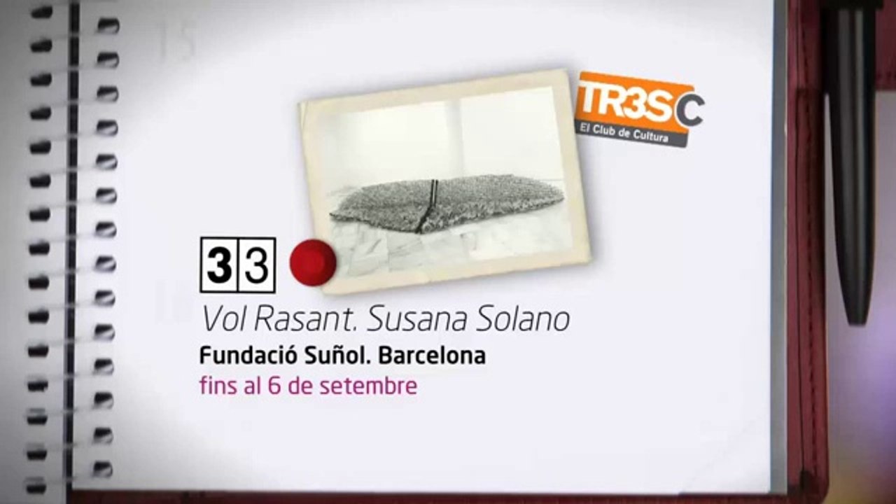 TV3 - 33 recomana - Exposició "Vol Rasant". Susana Solano. Fundació Suñol. Barcelona