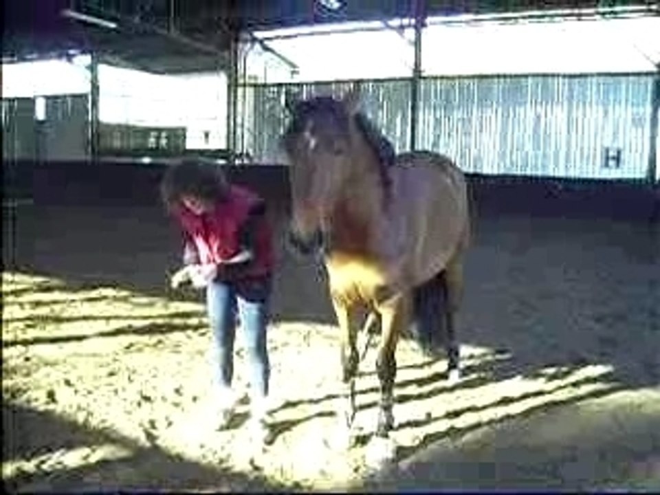 y donne la papatte!!