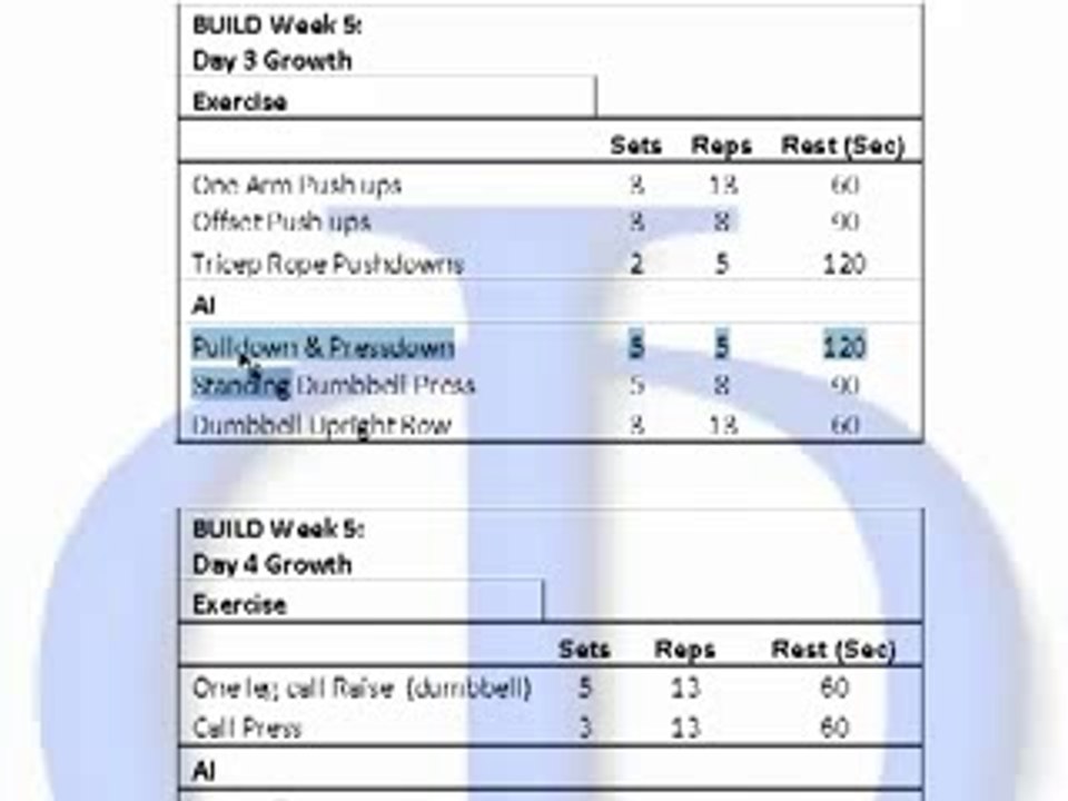 How to Understand The Adonis Index Workout Program review