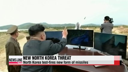N. Korea launches new type of tactical rockets