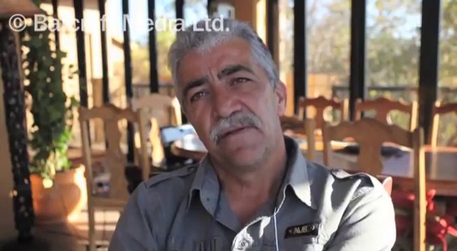 Evinde Köpek ve Kaplan Besleyen Adam