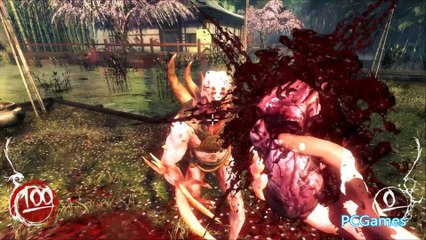 Shadow Warrior (PC Game)