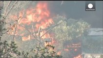 ABD'de orman yangını yerleşim bölgelerini tehdit ediyor