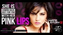 Pink Lips Full Song Hate Story 2  Sunny Leone ITEM SONG  _ Z-Series (Z-S)