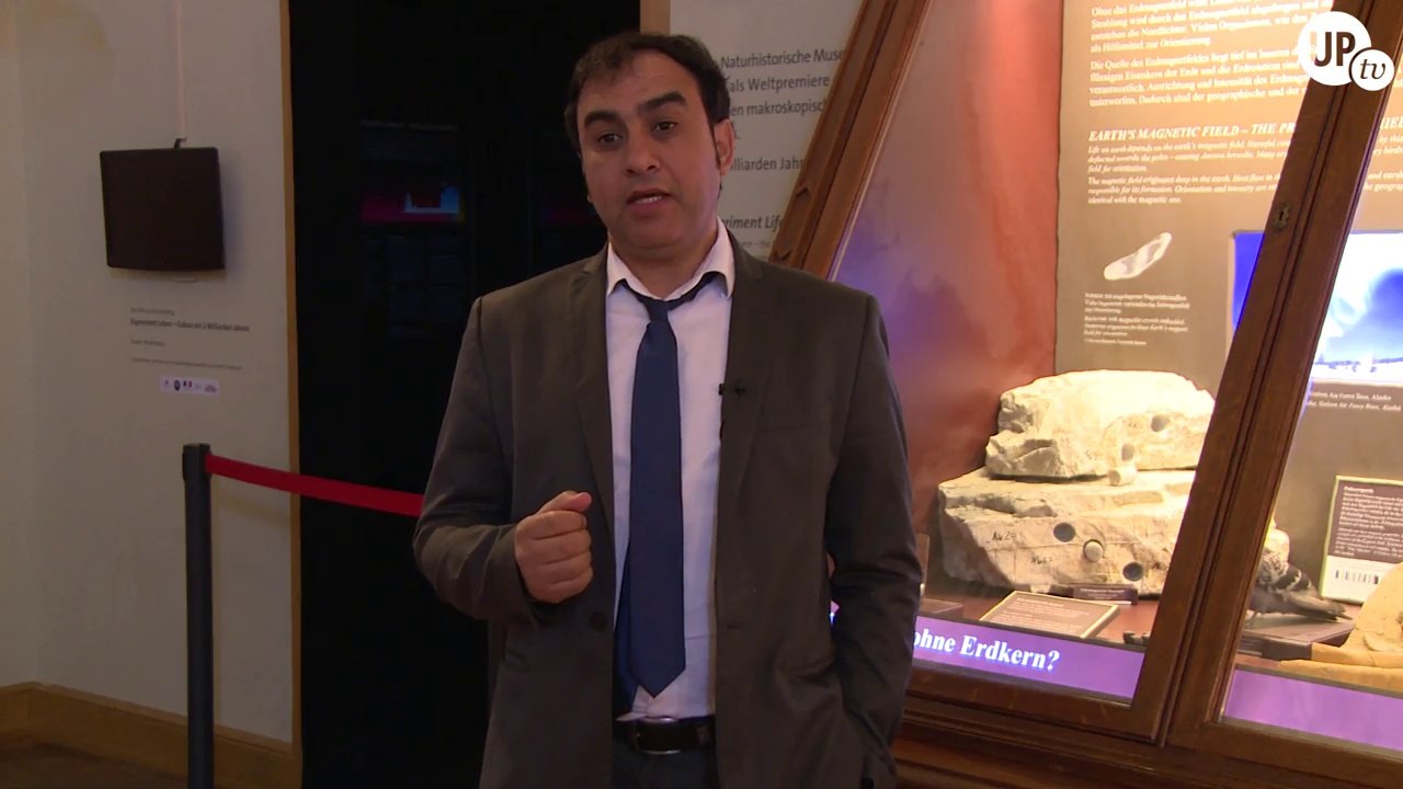 Gabonionta - La première exposition des fossiles vieux de 2,1 milliards d'années.