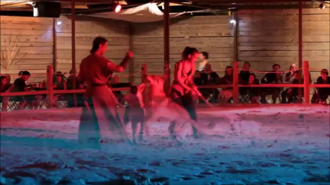 HERAULT - 2014 - ASPIRAN - SPECTACLE DE FAUCONNERIE "DES CRINS ET DES AILES" - DAVY LACROIX