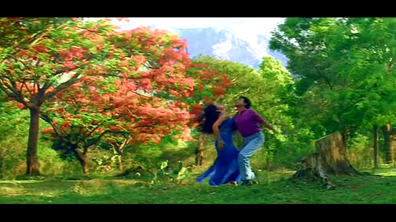 Dhak Dhak Dil Mera Karne Lagaa - Aadmi (720p HD Song)