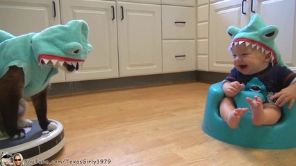 Tải video: Cat VS Baby : hilarious shark costume!