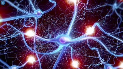 Amazing Facts You Didn't Know About Yourself