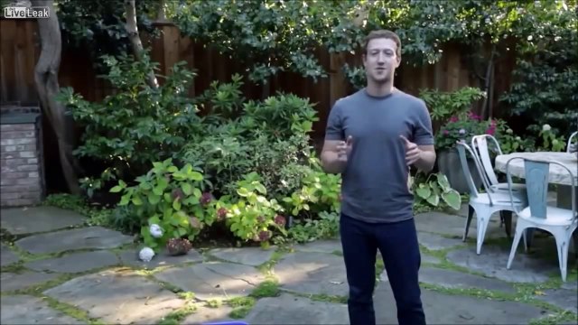 Ice Bucket Challenge : quand les célébrités s'emparent du phénomène viral