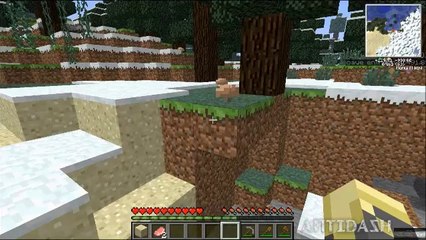 AntiDash Plays MineCraft Part 3