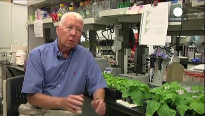 Ebola : l'inquiétude grandit après l'attaque d'un centre au Liberia