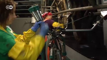 Baltic states hard hit by Russian sanctions | Business Brief