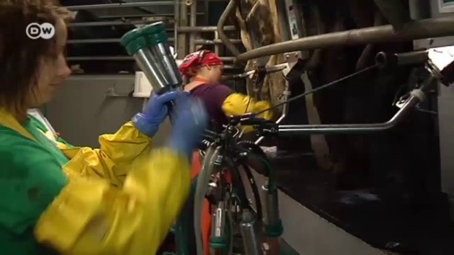 Baltic states hard hit by Russian sanctions | Business Brief