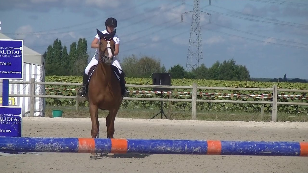 B M vitesse 110 16 08 14