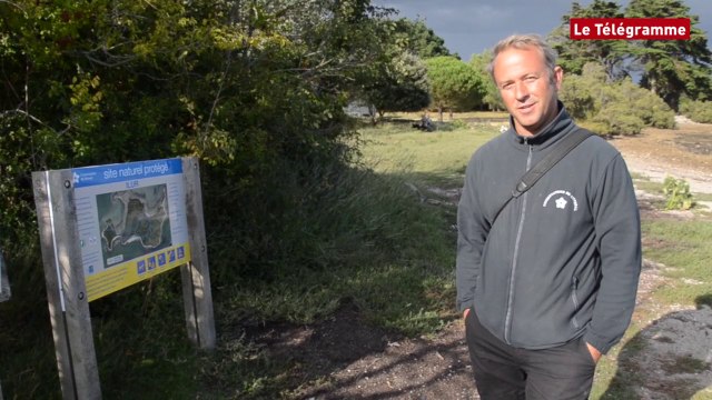 Morbihan. Ilur : île paradisiaque dans le golfe