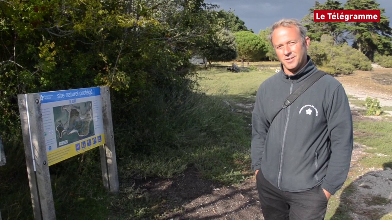 Morbihan. Ilur : île paradisiaque dans le golfe