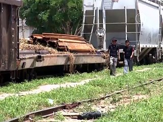 Мигрантов в Мексике предлагают защитить