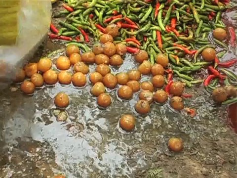 Vadodara - Health team raids M.S.Uni. canteen, destroy inedible food - Tv9 Gujarati