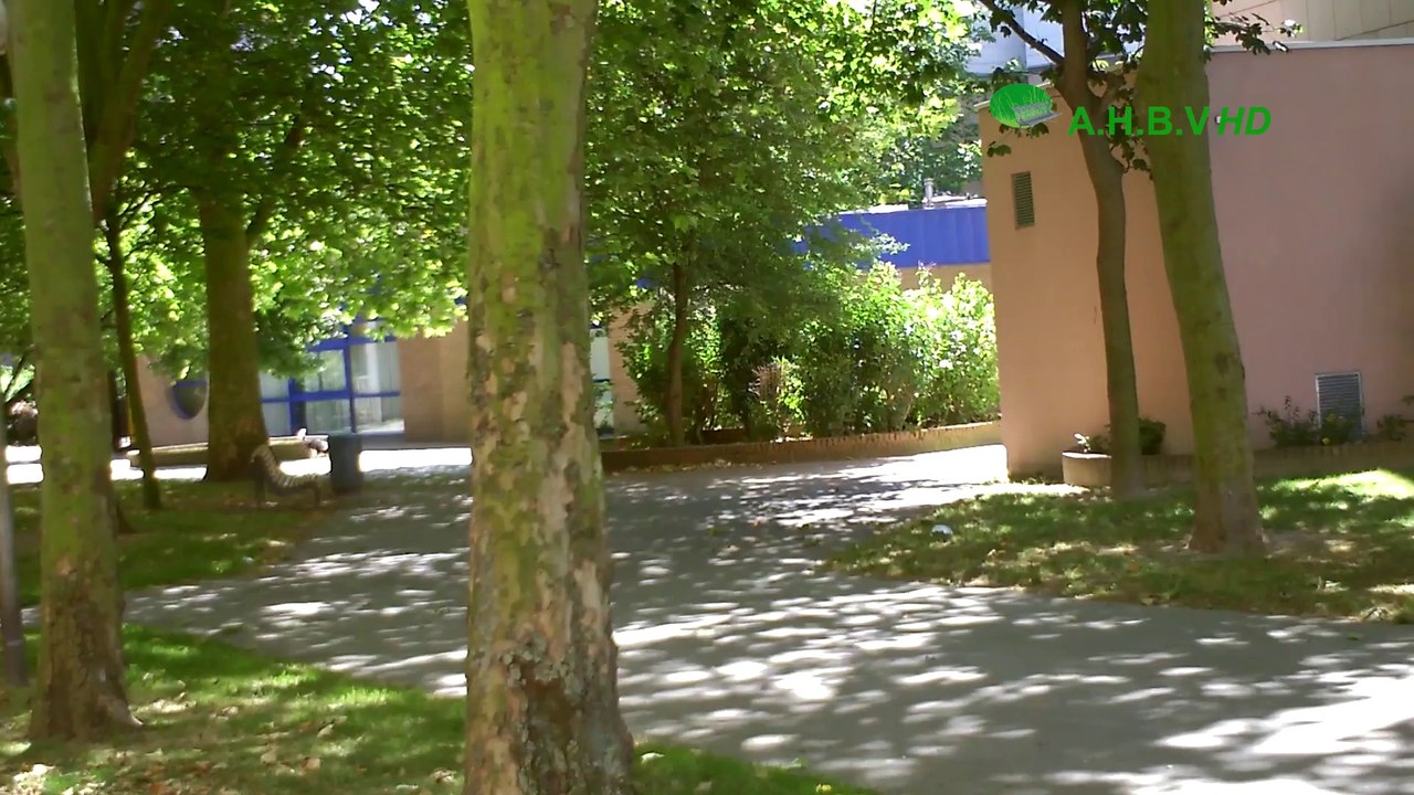 Fête Du Quartier du Banc-Vert : Brocante 2014 - Teaser Final