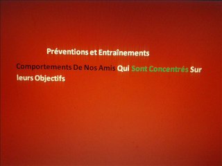comportements de nos amis Concentrés sur leurs Objectifs