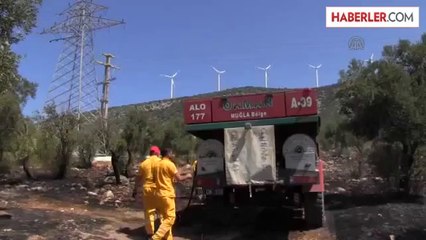 Didim'de Zeytinlik Yangını