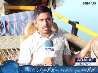 Mirpur Mein Machli Ka Shikar