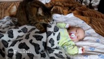 Cat lulling a baby / Кошка убаюкала ребенка