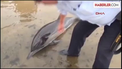 Sinop'ta Yunus İntihar Etti