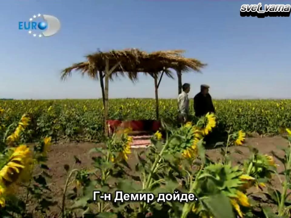 Избрани моменти на Демир и Аси 34