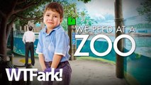 WE PEED AT A ZOO: Albuquerque Zoo Plagued With Puddles Of Urine. Made By Humans. Little Humans. (Also Known As Children)