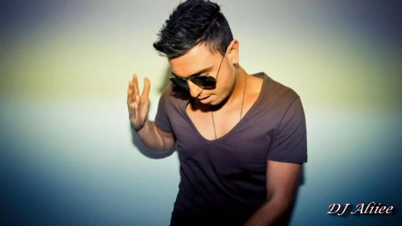 Sean Paul ft. Flo Rida & Faydee - She Doesn't Mind (Remix) DJ Aliiee