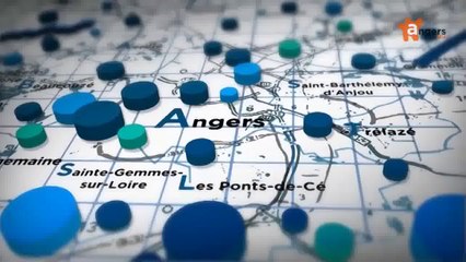 ECO DE L'ANJOU 1ER SEMESTRE 2014 [S.1] [E.9] - Eco de l'Anjou du 04/03/14 - Les métiers d'Art