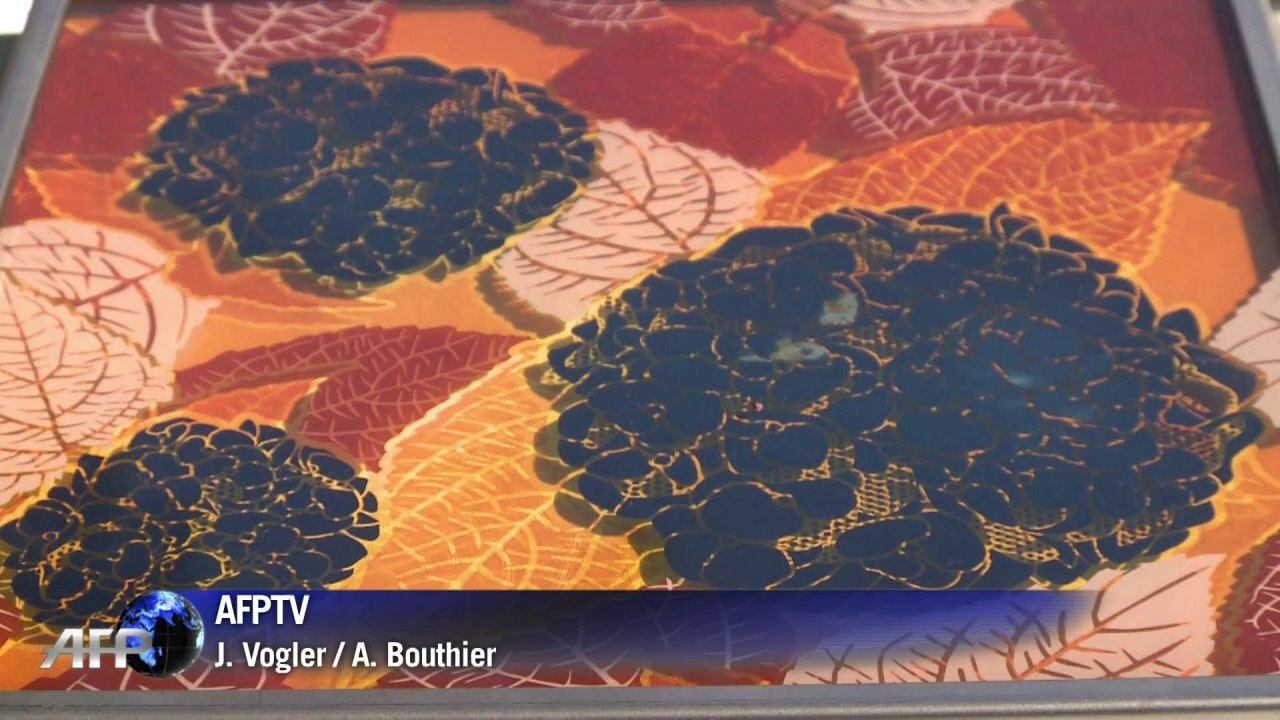 Solarstrom aus hightech-blüten in japan