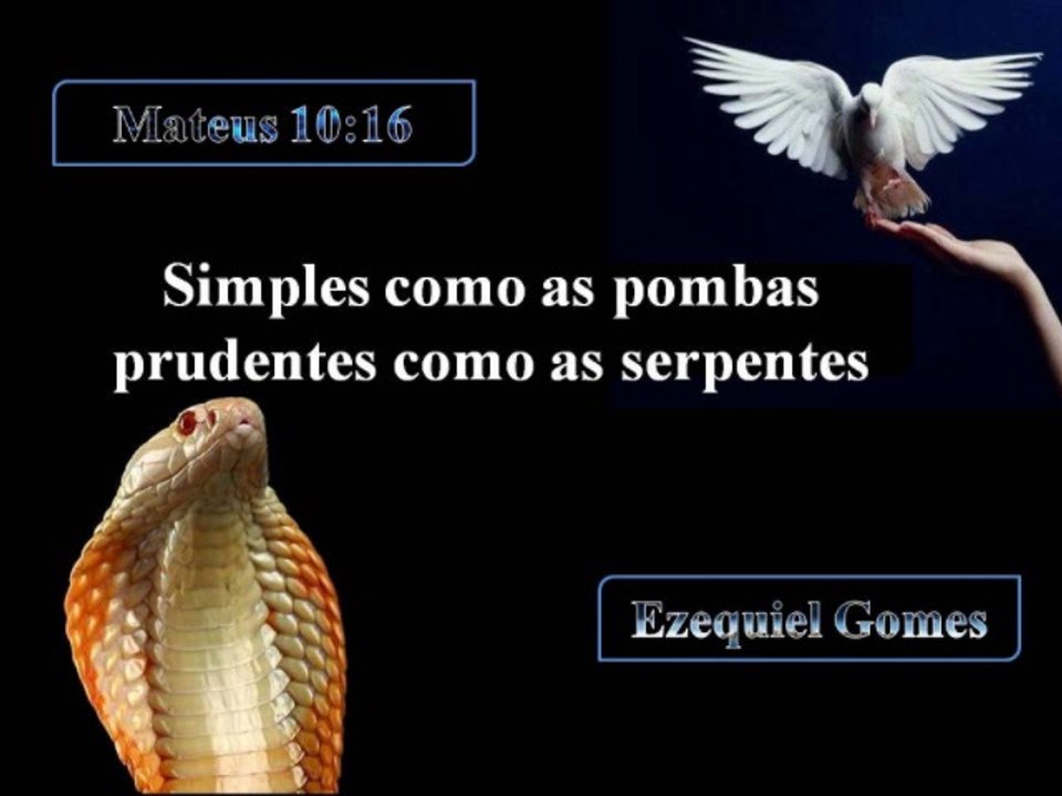 Simples como as pomba, prudente como as serpentes Evangelista Roberto Stanchese