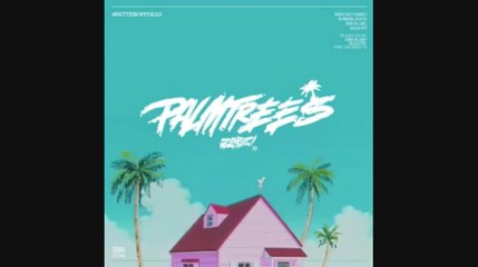 Flatbush ZOMBiES - Palm Trees (INSTRUMENTAL)