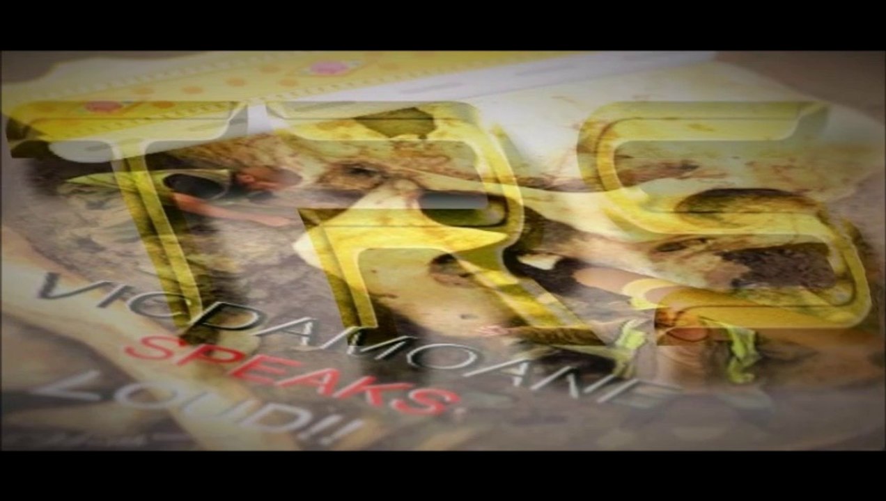 THE VICDAMOANE SHOW NO DQ ON TRS