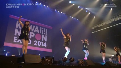 KAWAii-NIPPON-EXPO-2014-山口活性学園