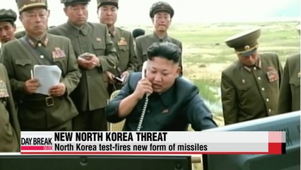 N. Korea launches new type of tactical rockets
