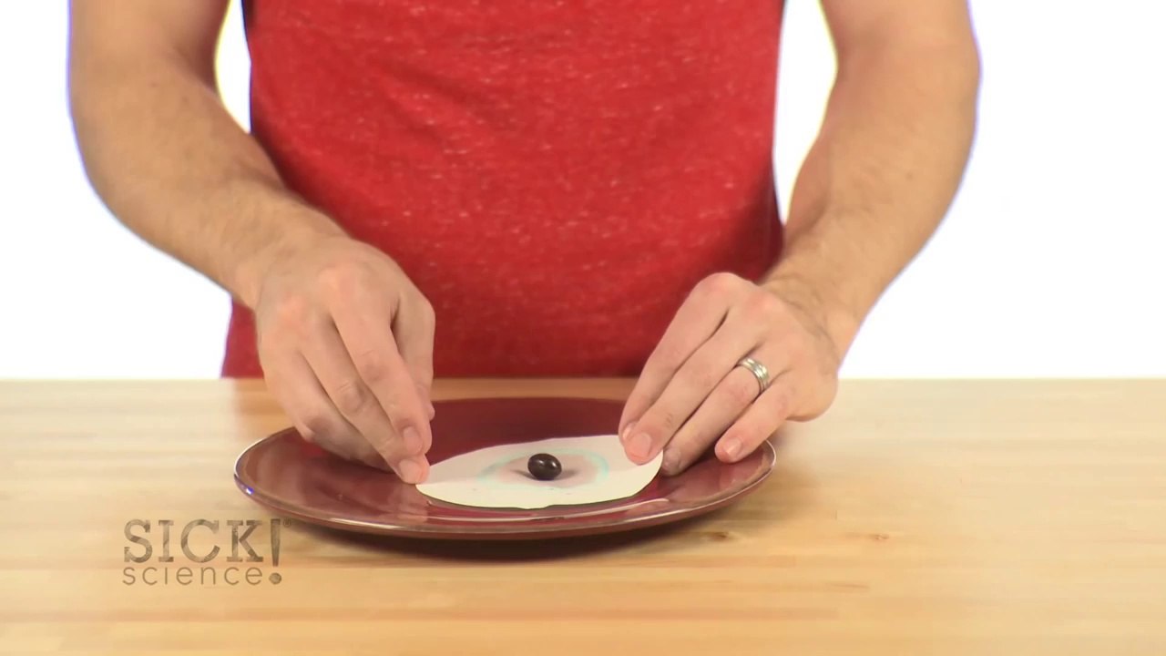 Candy Chromatography - Sick Science! #178