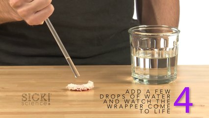 Wrapper Worm - Sick Science! #175