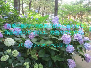 島田雄貴の格言動画「パトリツィオ・ベルテッリ」～島田雄貴デザイン事務所