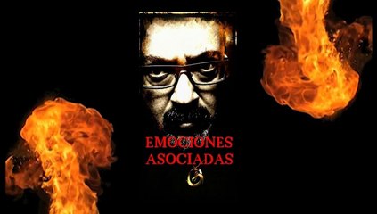 VARAMORGANA  Emociones Asociadas. 2013