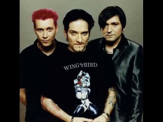 Ärzte Männer sind Schweine with lyrics