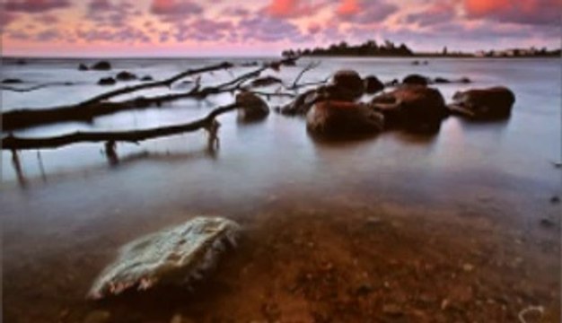 taner olgun gelin eyledim digiserkan