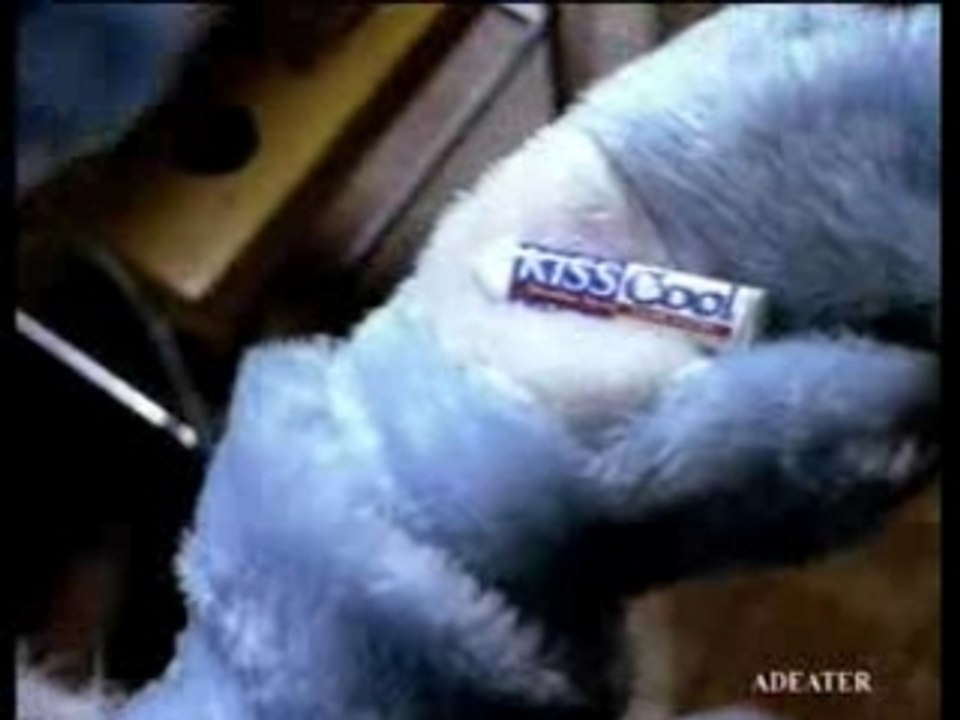 KissCool-lapin2
