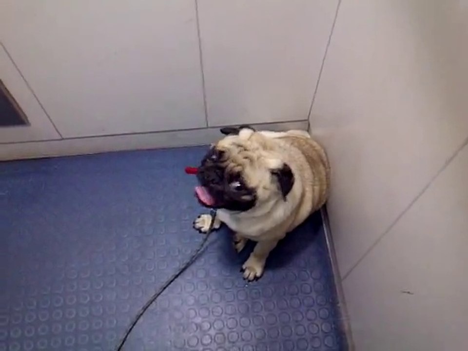 Riding the elevator with Mr.Barfi